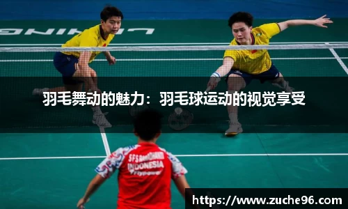 羽毛舞动的魅力：羽毛球运动的视觉享受